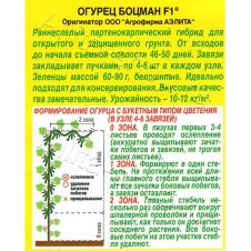 Огурец Боцман F1 Аэлита