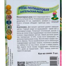 Роза полиантовая Ангельская роза 5 шт Поиск
