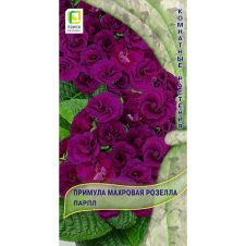 Примула махровая Розелла Парпл 5 шт Поиск