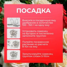 Удобрение минеральное с микроэлементами Садовые розы 1 кг Робин грин