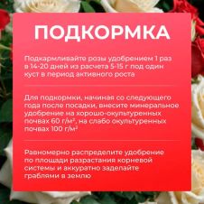 Удобрение минеральное с микроэлементами Садовые розы 1 кг Робин грин