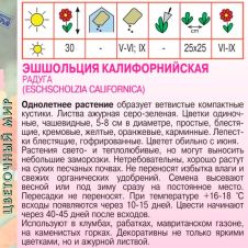 Эшшольция Калифорнийская Махровая Радуга 0,1 г Агрос