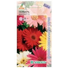 Гербера Джемсона Мажоретт 3 шт. (Дания)