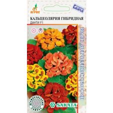 Кальцеолярия Данти F1 7 шт.