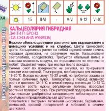 Кальцеолярия Данти F1 Бронз 7 шт Агрос
