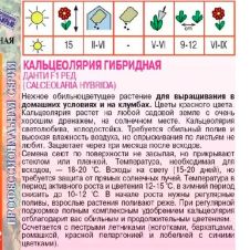 Кальцеолярия Данти F1 Ред 7 шт Агрос