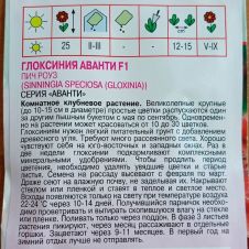 Глоксиния Аванти F1 Пич Роуз 8 шт Агрос