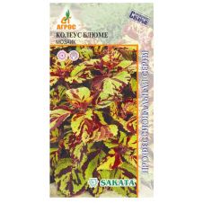 Колеус Блюме Мозаик 10 шт Агрос