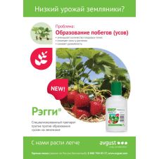 Рэгги 10 мл Август